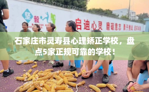 石家庄市灵寿县心理矫正学校,盘点5家正规可靠的学校! 石家庄市灵寿县心理矫正学校,盘点5家正规可靠的学校!