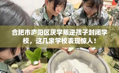 合肥市庐阳区厌学叛逆孩子封闭学校,这几家学校表现惊人! 合肥市庐阳区厌学叛逆孩子封闭学校,这几家学校表现惊人!