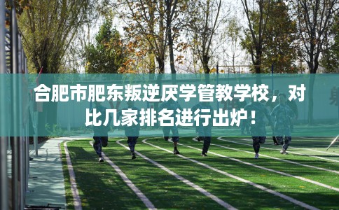 合肥市肥东叛逆厌学管教学校,对比几家排名进行出炉! 合肥市肥东叛逆厌学管教学校,对比几家排名进行出炉!