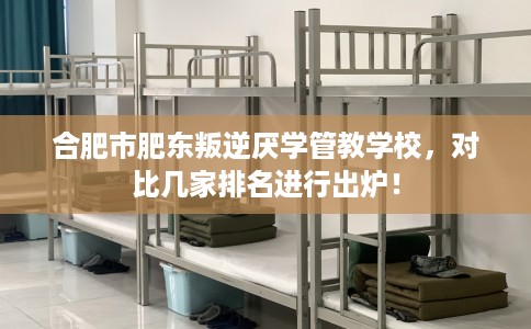 合肥市肥东叛逆厌学管教学校,对比几家排名进行出炉! 合肥市肥东叛逆厌学管教学校,对比几家排名进行出炉!