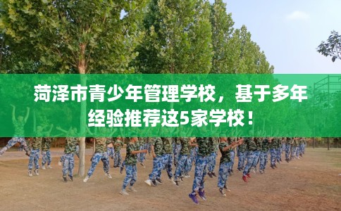 菏泽市青少年管理学校，基于多年经验推荐这5家学校！