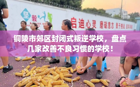 铜陵市郊区封闭式叛逆学校，盘点几家改善不良习惯的学校！