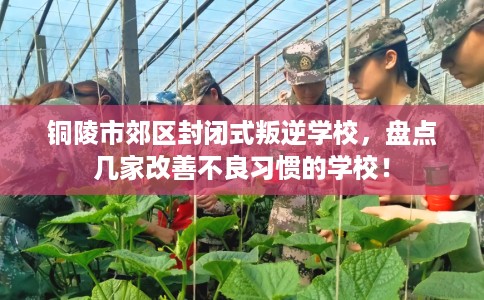 铜陵市郊区封闭式叛逆学校，盘点几家改善不良习惯的学校！