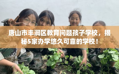 唐山市丰润区教育问题孩子学校,揭秘5家办学悠久可靠的学校! 唐山市丰润区教育问题孩子学校,揭秘5家办学悠久可靠的学校!