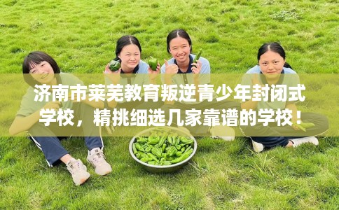 济南市莱芜教育叛逆青少年封闭式学校,精挑细选几家靠谱的学校! 济南市莱芜教育叛逆青少年封闭式学校,精挑细选几家靠谱的学校!