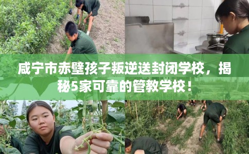 咸宁市赤壁孩子叛逆送封闭学校，揭秘5家可靠的管教学校！