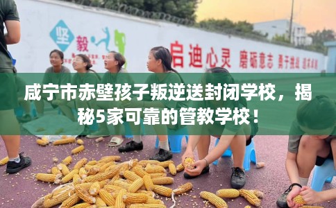 咸宁市赤壁孩子叛逆送封闭学校，揭秘5家可靠的管教学校！