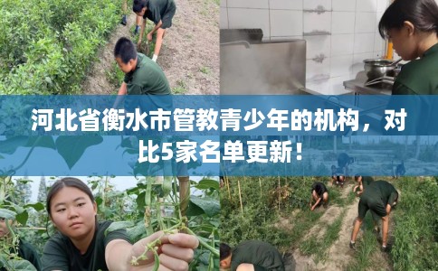 河北省衡水市管教青少年的机构,对比5家名单更新! 河北省衡水市管教青少年的机构,对比5家名单更新!
