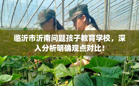 临沂市沂南问题孩子教育学校,深入分析明确观点对比! 临沂市沂南问题孩子教育学校,深入分析明确观点对比!