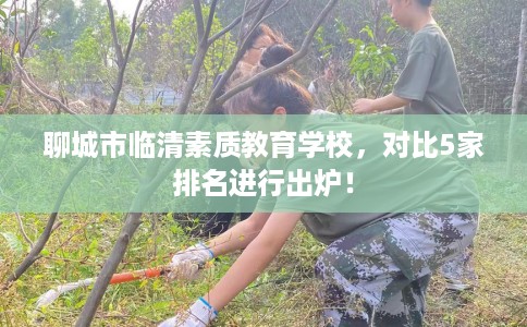 聊城市临清素质教育学校，对比5家排名进行出炉！