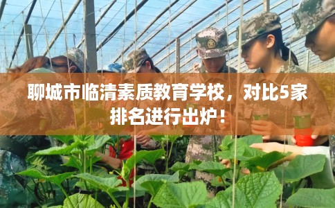 聊城市临清素质教育学校，对比5家排名进行出炉！