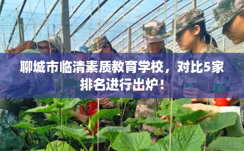 聊城市临清素质教育学校，对比5家排名进行出炉！
