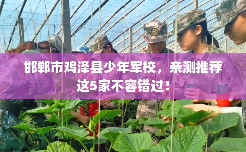 邯郸市鸡泽县少年军校,亲测推荐这5家不容错过! 邯郸市鸡泽县少年军校,亲测推荐这5家不容错过!