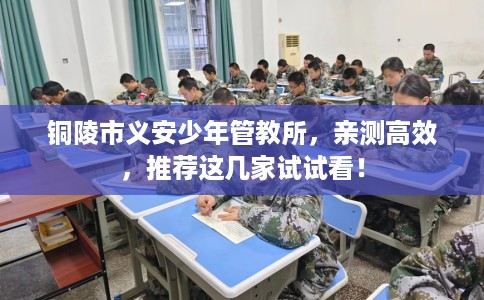 铜陵市义安少年管教所,亲测高效,推荐这几家试试看! 铜陵市义安少年管教所,亲测高效,推荐这几家试试看!