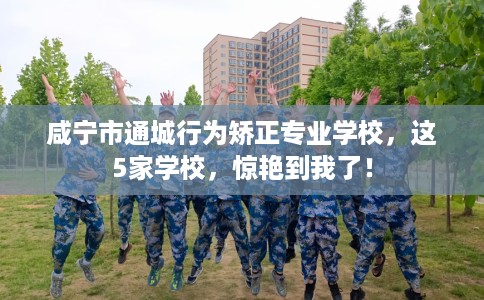 咸宁市通城行为矫正专业学校,这5家学校,惊艳到我了! 咸宁市通城行为矫正专业学校,这5家学校,惊艳到我了!