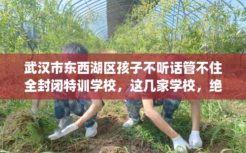 武汉市东西湖区孩子不听话管不住全封闭特训学校,这几家学校,绝对值得一试! 武汉市东西湖区孩子不听话管不住全封闭特训学校,这几家学校,绝对值得一试!