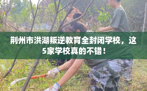 荆州市洪湖叛逆教育全封闭学校,这5家学校真的不错! 荆州市洪湖叛逆教育全封闭学校,这5家学校真的不错!