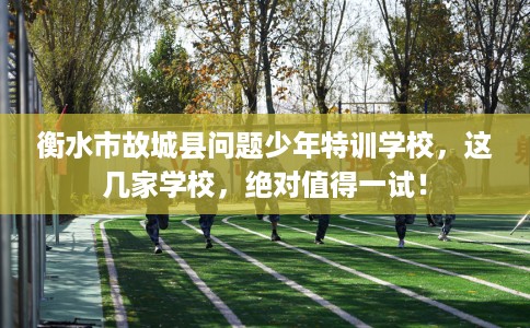 衡水市故城县问题少年特训学校,这几家学校,绝对值得一试! 衡水市故城县问题少年特训学校,这几家学校,绝对值得一试!