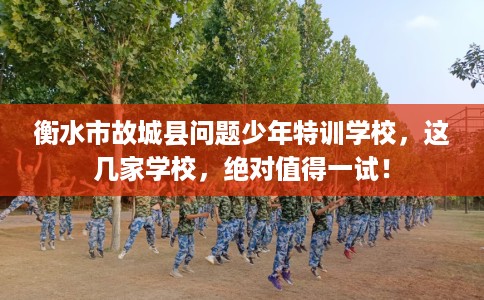 衡水市故城县问题少年特训学校,这几家学校,绝对值得一试! 衡水市故城县问题少年特训学校,这几家学校,绝对值得一试!