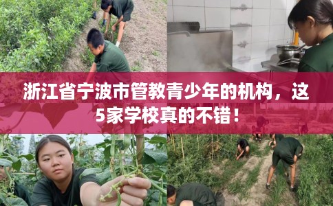 浙江省宁波市管教青少年的机构,这5家学校真的不错! 浙江省宁波市管教青少年的机构,这5家学校真的不错!