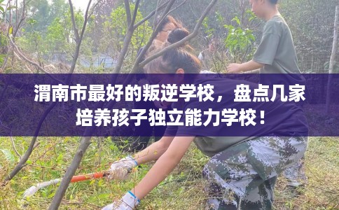 渭南市最好的叛逆学校,盘点几家培养孩子独立能力学校! 渭南市最好的叛逆学校,盘点几家培养孩子独立能力学校!