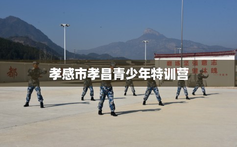 孝感市孝昌青少年特训营 孝感市孝昌青少年特训营