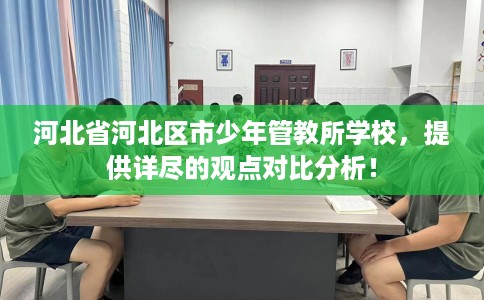 河北省河北区市少年管教所学校，提供详尽的观点对比分析！