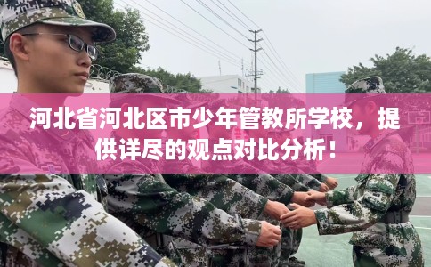 河北省河北区市少年管教所学校，提供详尽的观点对比分析！