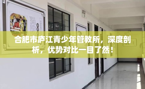 合肥市庐江青少年管教所,深度剖析,优势对比一目了然! 合肥市庐江青少年管教所,深度剖析,优势对比一目了然!