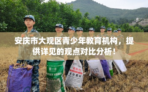 安庆市大观区青少年教育机构,提供详见的观点对比分析! 安庆市大观区青少年教育机构,提供详见的观点对比分析!