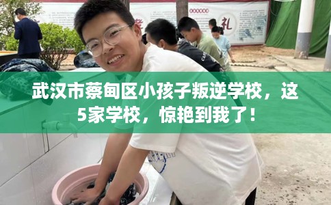 武汉市蔡甸区小孩子叛逆学校,这5家学校,惊艳到我了! 武汉市蔡甸区小孩子叛逆学校,这5家学校,惊艳到我了!