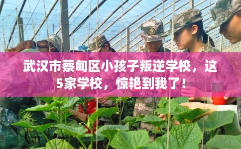 武汉市蔡甸区小孩子叛逆学校,这5家学校,惊艳到我了! 武汉市蔡甸区小孩子叛逆学校,这5家学校,惊艳到我了!