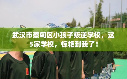 武汉市蔡甸区小孩子叛逆学校,这5家学校,惊艳到我了! 武汉市蔡甸区小孩子叛逆学校,这5家学校,惊艳到我了!