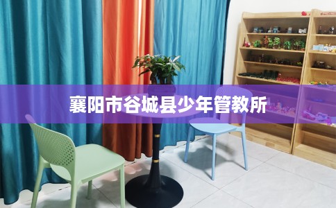襄阳市谷城县少年管教所 襄阳市谷城县少年管教所