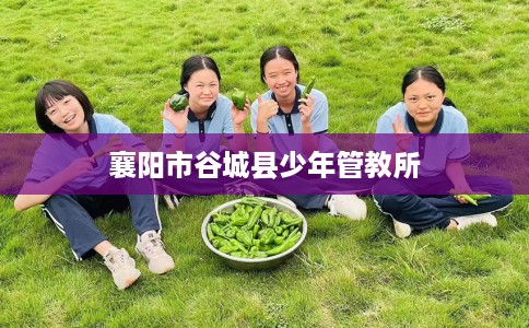 襄阳市谷城县少年管教所 襄阳市谷城县少年管教所