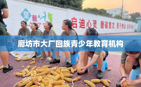 廊坊市大厂回族青少年教育机构