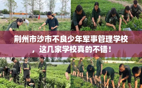 荆州市沙市不良少年军事管理学校，这几家学校真的不错！