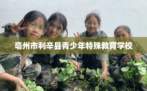 亳州市利辛县青少年特殊教育学校 亳州市利辛县青少年特殊教育学校