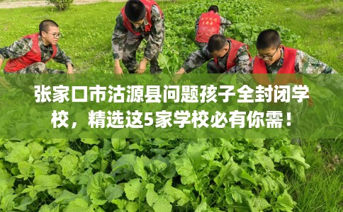 张家口市沽源县问题孩子全封闭学校,精选这5家学校必有你需! 张家口市沽源县问题孩子全封闭学校,精选这5家学校必有你需!