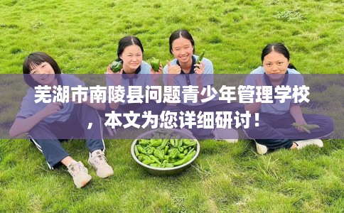 芜湖市南陵县问题青少年管理学校,本文为您详细研讨! 芜湖市南陵县问题青少年管理学校,本文为您详细研讨!