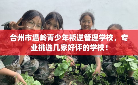 台州市温岭青少年叛逆管理学校，专业挑选几家好评的学校！