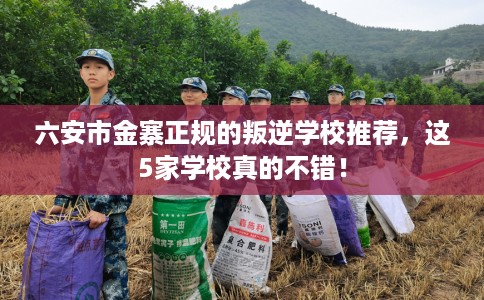 六安市金寨正规的叛逆学校推荐,这5家学校真的不错! 六安市金寨正规的叛逆学校推荐,这5家学校真的不错!