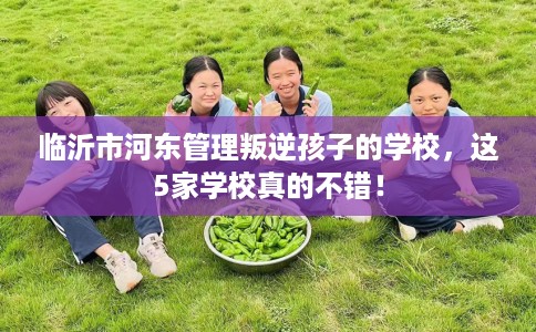 临沂市河东管理叛逆孩子的学校，这5家学校真的不错！
