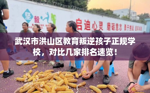 武汉市洪山区教育叛逆孩子正规学校,对比几家排名速览! 武汉市洪山区教育叛逆孩子正规学校,对比几家排名速览!