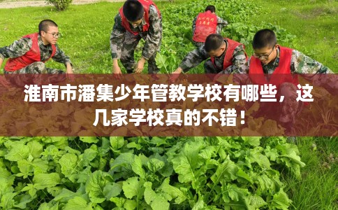 淮南市潘集少年管教学校有哪些,这几家学校真的不错! 淮南市潘集少年管教学校有哪些,这几家学校真的不错!