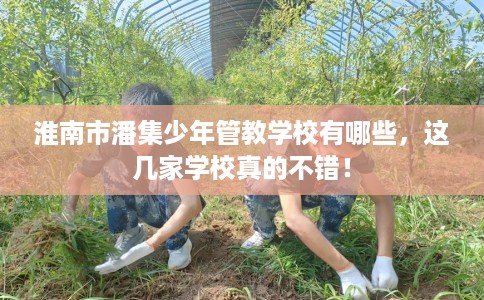 淮南市潘集少年管教学校有哪些,这几家学校真的不错! 淮南市潘集少年管教学校有哪些,这几家学校真的不错!