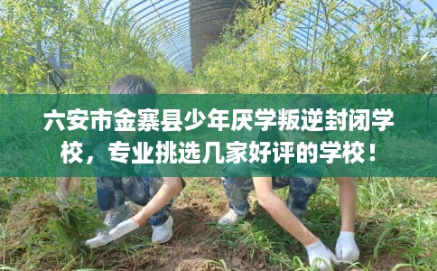 六安市金寨县少年厌学叛逆封闭学校,专业挑选几家好评的学校! 六安市金寨县少年厌学叛逆封闭学校,专业挑选几家好评的学校!
