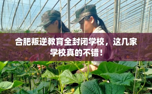 合肥叛逆教育全封闭学校,这几家学校真的不错! 合肥叛逆教育全封闭学校,这几家学校真的不错!