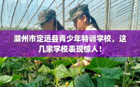 滁州市定远县青少年特训学校,这几家学校表现惊人! 滁州市定远县青少年特训学校,这几家学校表现惊人!