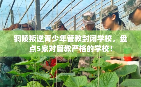 铜陵叛逆青少年管教封闭学校,盘点5家对管教严格的学校! 铜陵叛逆青少年管教封闭学校,盘点5家对管教严格的学校!